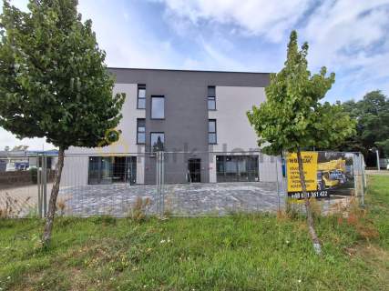 DO WYNAJĘCIA przestronny lokal na parterze 161m2
