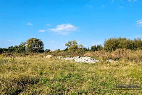 Działka 1,36 ha pod domy w Trzesiece, ul.Spacerowa