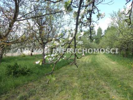 Dom na sprzedaż, 100 m2, Puszcza Mariańska