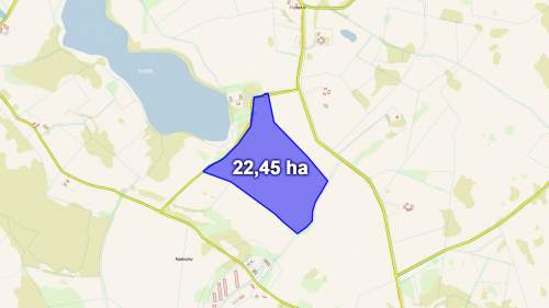 Działka z Warunkami Zabudowy 22,45 ha Żabin, gm. Banie Mazurskie