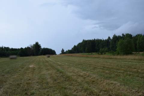 Działki budowlane 39a w Budach Głogowskich