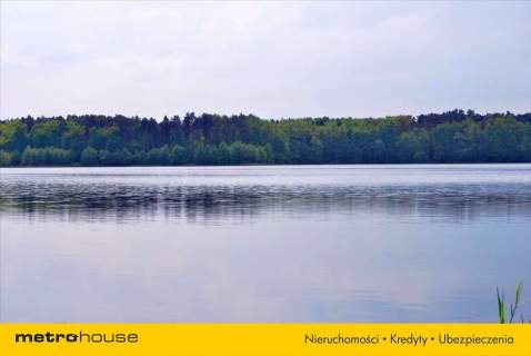 Działka siedliskowa na sprzedaż, 7100 m2, Pąchy