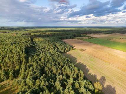 Działka rolna Jędrzejewo