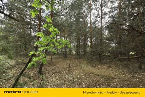 Działka budowlana 1737 m Powązki przy Kampinosie