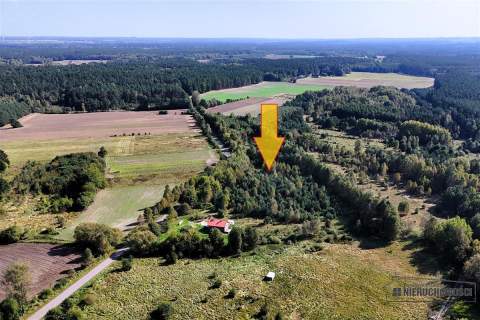 Duże działki w Krosinie, ok. 60 km od morza.