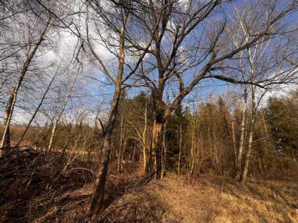 Teren inwestycyjny 4,26 ha MPZP -1PU ok.Mszczonów