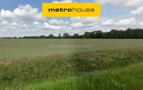 Działka rolna na sprzedaż, 20300 m2, Daszewice