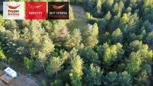 DZIAŁKA ROLNA W SPOKOJNEJ OKOLICY 2000M2
