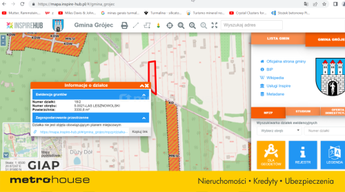 Duża działka w Lesie Lesznowolskim