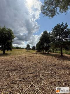 Działka budowlana na sprzedaż, 1100 m2, Wierzchowisko