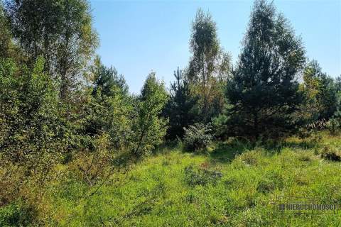 Duże działki w Krosinie, ok. 60 km od morza.