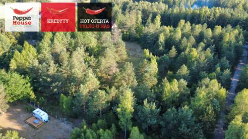 DZIAŁKA ROLNA W SPOKOJNEJ OKOLICY 2000M2