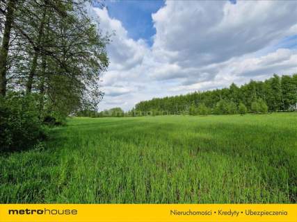 Działki 2ha Inwestycyjno-Usługowe k. Małaszewicz