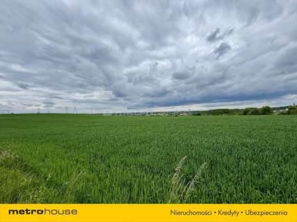 Spokój, przestrzeń i brak sąsiadów 