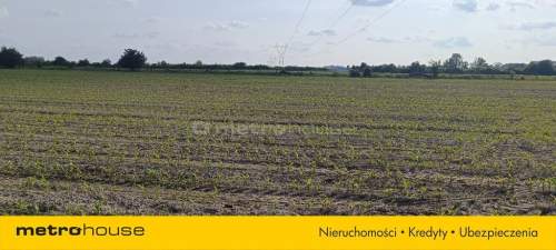 DZIAŁKA POD INWESTYCJĘ 3,3ha CENA 100zł za m2