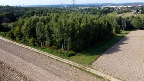 ROZLEGŁA ZIELONA NIERUCHOMOŚĆ GRUNTOWA, 15KM OD KRAKOWA, BUKÓW,...