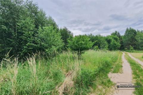 Działki rekreacyjne blisko jeziora Pile