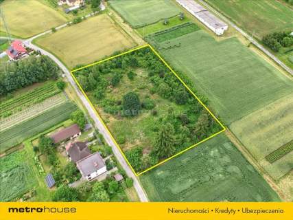 Działka siedliskowo-rolna I 5600m2 I Kaczyce I 56a