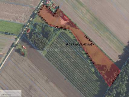 Działka budowlana i stajnia - 1,4ha przy lesie.