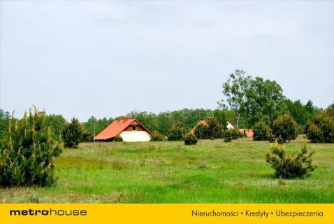 Działka siedliskowa na sprzedaż, 8000 m2, Pąchy