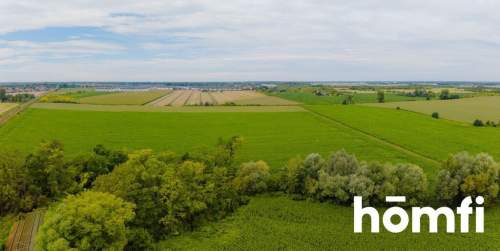 10297 m2 Obszar Przemysłowy, Muchobór Wielki