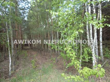 Dom na sprzedaż, 100 m2, Puszcza Mariańska