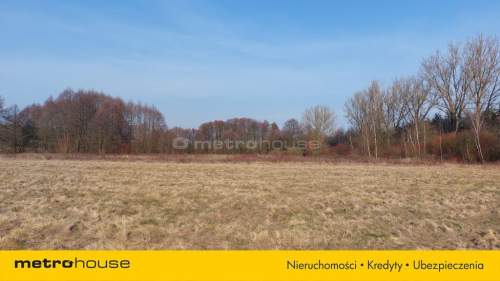 Działka na sprzedaż, 9700 m2, Zabór