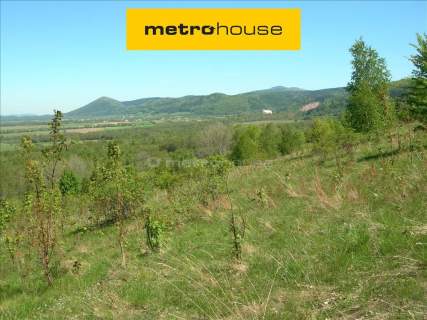 Działka rolna na sprzedaż, 3199190 m2, Bystrzyca Kłodzka
