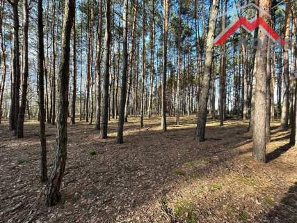 Działka 60 km od Warszawy