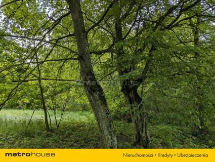 Zabytkowy Park Pałacowy/Dworski z XIX w. - 7.27ha