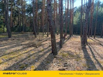 Działka rekreacyjna w miejscowości Karolinów.
