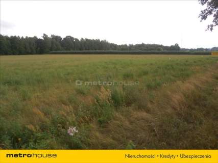 DZIAŁKA BUDOWLANA, RYBNO WIELKIE, MPZP
