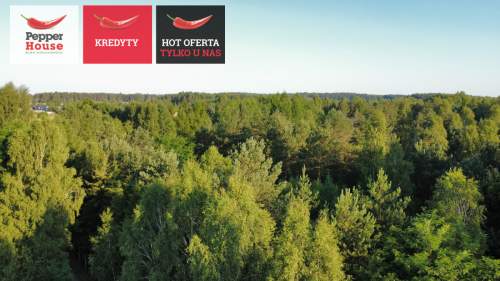 DZIAŁKA ROLNA W SPOKOJNEJ OKOLICY 2000M2