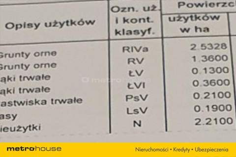 DZIAŁKA SEDLISKOWA PRZY JEZIORZE STRYKOWSKIM