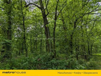 Zabytkowy Park Pałacowy/Dworski z XIX w. - 7.27ha