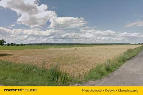 DZIAŁKA POD ZABUDOWĘ JEDNORODZINNĄ, BORKOWICE,