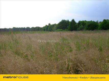 Działka rolna na sprzedaż, 21392 m2, Polska Wieś