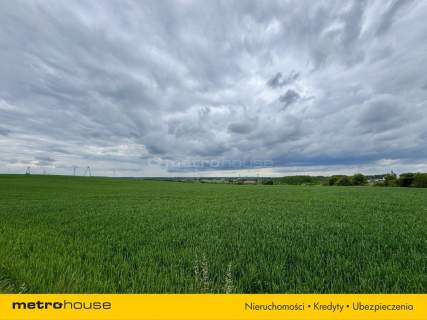 Spokój, przestrzeń i brak sąsiadów 