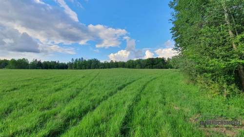 Działki rolne pod lasem, na raty