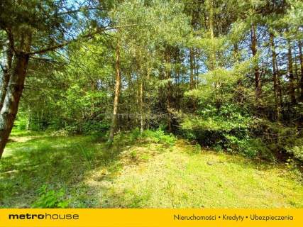 Działka budowlana na sprzedaż, 5000 m2, Sosnówka