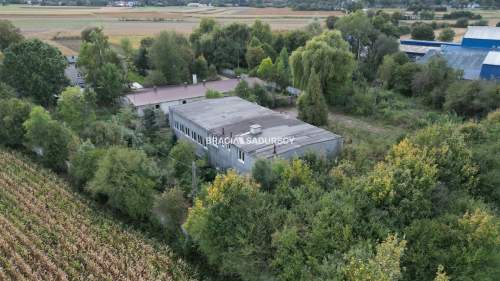 Siedliszowice pow. tarnowski - hala prod. 400 m2.