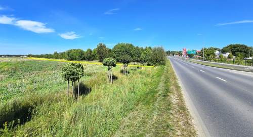 Atrakcyjny teren inwestycyjny w Rokietnicy