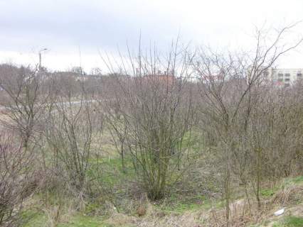 Pod działalność w centrum Wejherowa