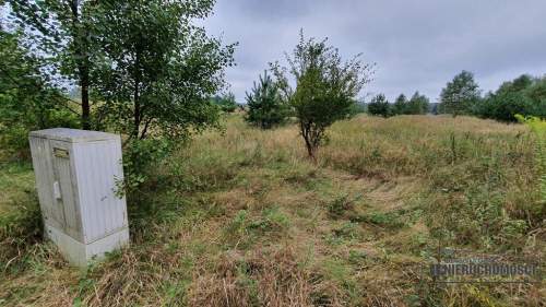 Działka w pobliżu lasu i jeziora