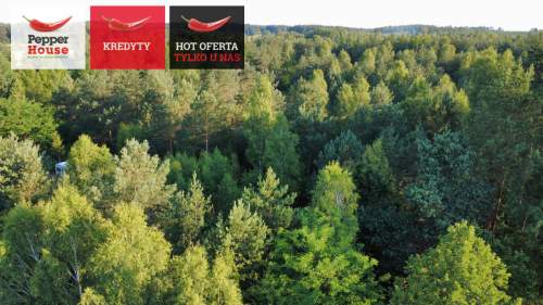 DZIAŁKA ROLNA W SPOKOJNEJ OKOLICY 2000M2