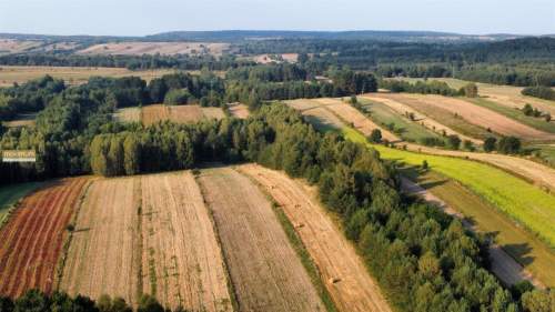 Działki rolne 2,05 ha i leśna 0,43 ha Długi Kąt