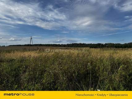 Działka na sprzedaż, 6100 m2, Czernin