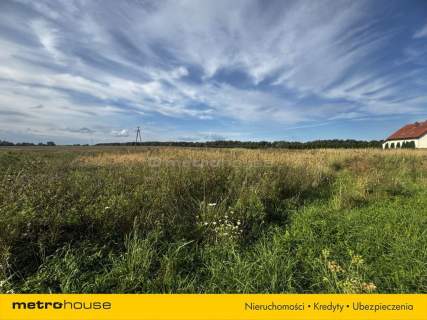 Działka na sprzedaż, 6100 m2, Czernin