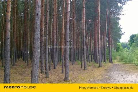 TEREN ROLNY, PRZEZNACZENIE BUDOWLANE, DOPIEWO,