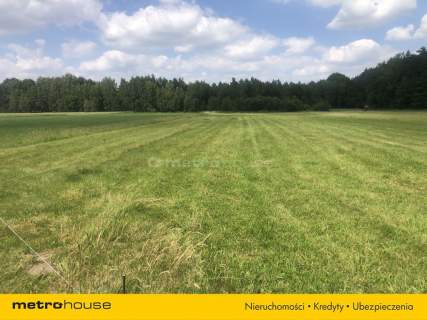 Działka budowlana na sprzedaż, 800 m2, Kaleń